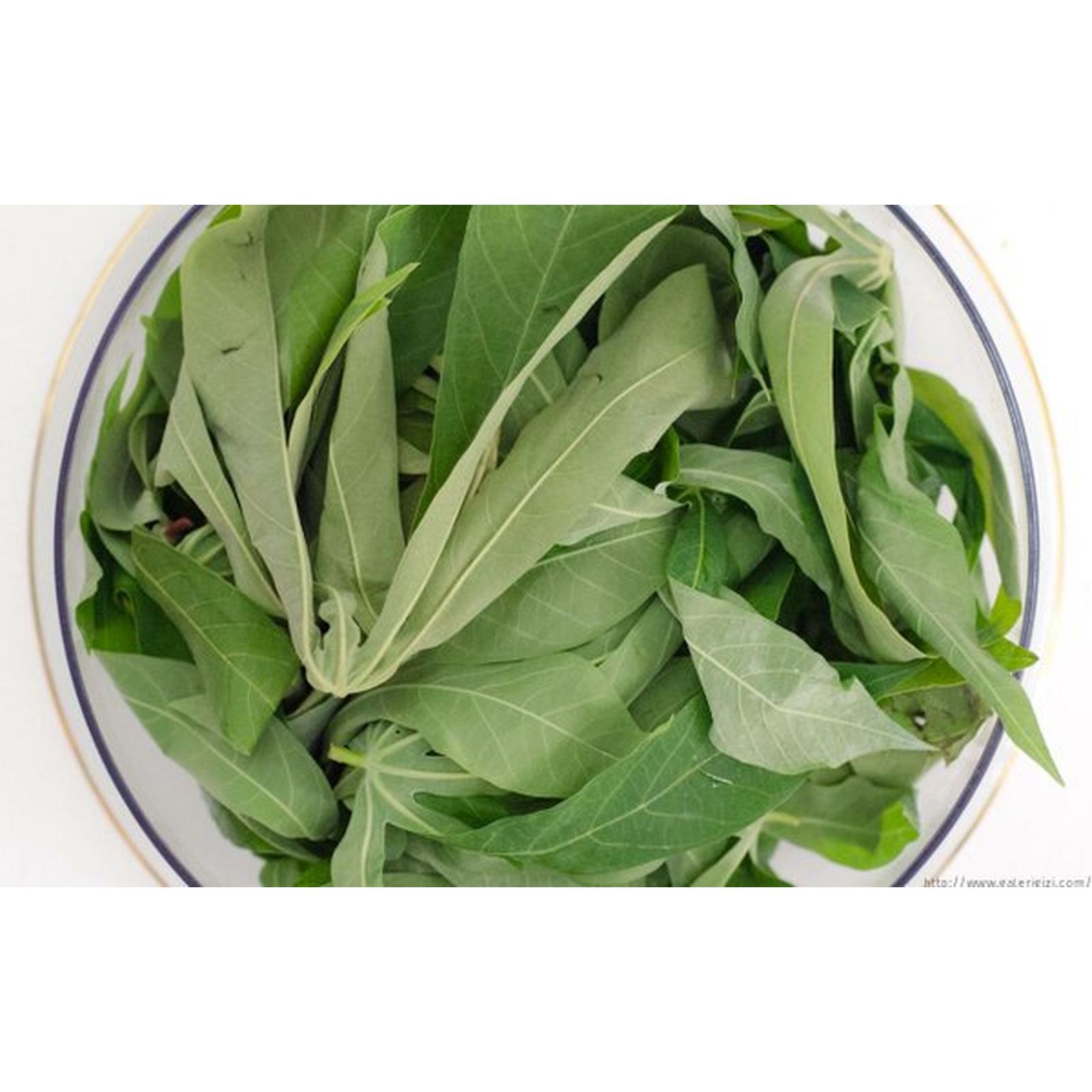 Daun Singkong fresh